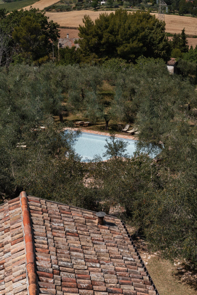 La piscina circondata da lettini in legno e da ulivi centenari vista dall'alto. A lato anche parte del tetto del casolare.