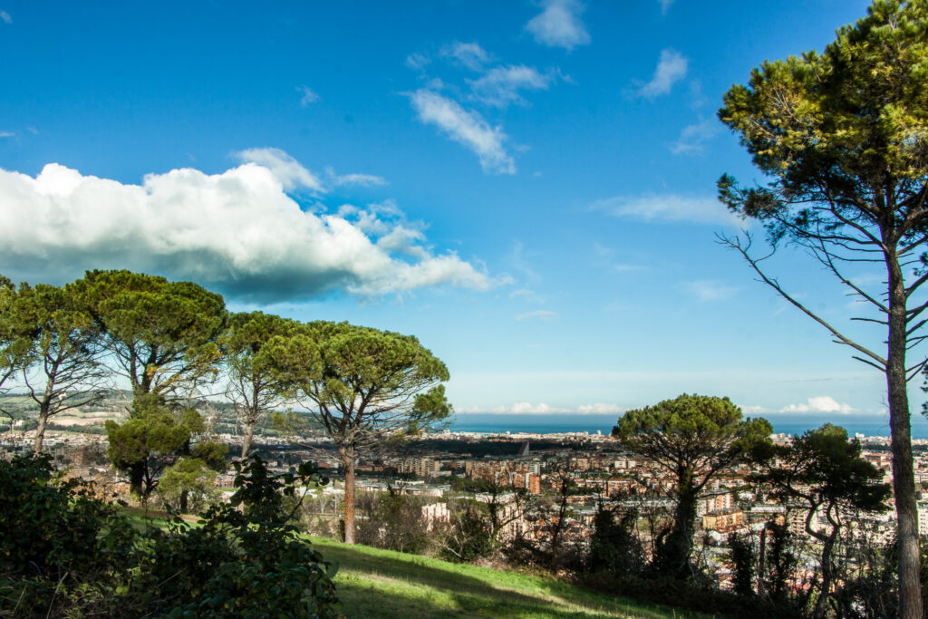 View of the city of Pesaro and the sea from the hill where Il Pignocco is located, framed by tall maritime pines, bushes, and lawns.