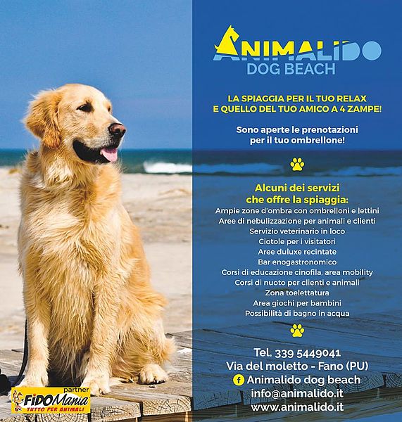 In vacanza in spiaggia con il cane a Pesaro.