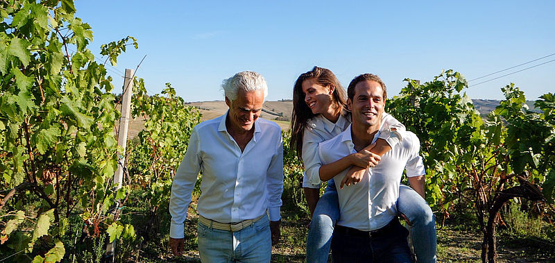 Un’esperienza in vigna nelle Marche: l’azienda Guerrieri.