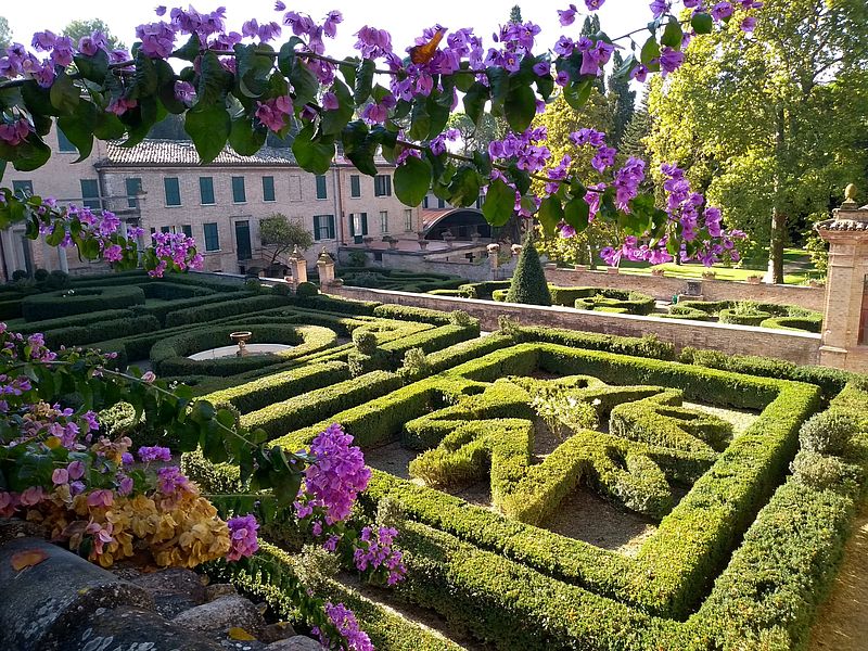 Un giardino di siepi che costruiscono un labirinto e la facciata di Villa Miralfiore